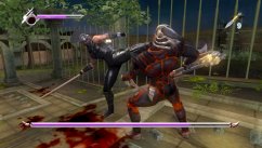 Ninja Gaiden Sigma
