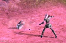 Aion