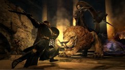 Dragon's Dogma