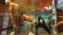 Ninja Gaiden Sigma