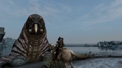 The Elder Scrolls V: Skyrim