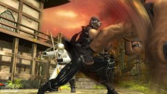 Ninja Gaiden Sigma