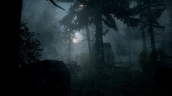 Alan Wake