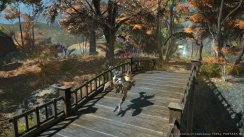 Final Fantasy XIV