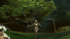 Final Fantasy XIV