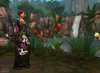 World of Warcraft: Wrath of the Lich King