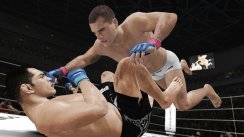 UFC Undisputed 3