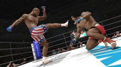 UFC Undisputed 3