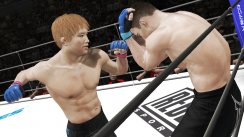 UFC Undisputed 3