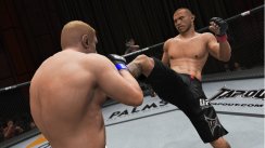UFC Undisputed 3