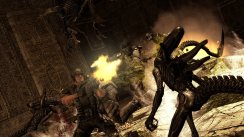 Aliens vs Predator