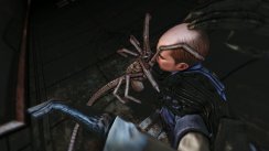 Aliens vs Predator