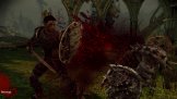 Dragon Age: Origins
