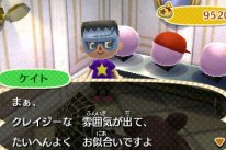 ANIMAL CROSSING: NEW LEAF