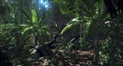 Crysis