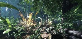 Crysis