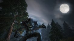 Fable II