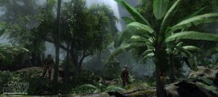 Crysis