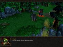 Warcraft III: Reign of Chaos