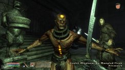 The Elder Scrolls IV: Oblivion: Shivering Isles