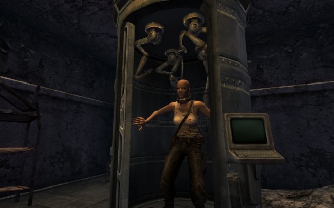 Fallout: New Vegas