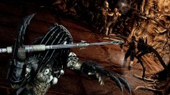 Aliens vs Predator