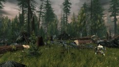 Neverwinter