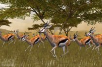 Cabela's African Safari