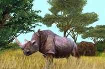 Cabela's African Safari
