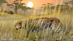 Cabela's African Safari