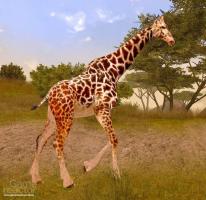 Cabela's African Safari