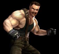 Final Fight: Streetwise