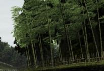 Enthusia: Professional Racing