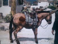 Red Dead Redemption