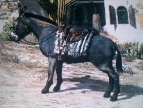 Red Dead Redemption