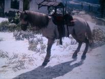 Red Dead Redemption
