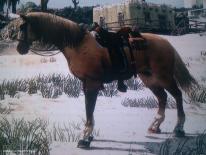 Red Dead Redemption