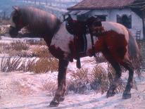Red Dead Redemption