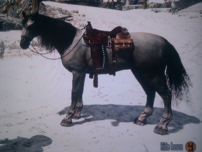 Red Dead Redemption-guide