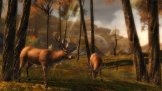 Guild Wars 2