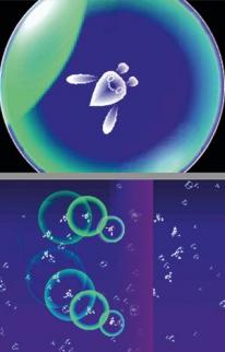 Electroplankton