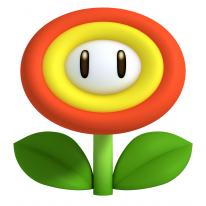 New Super Mario Bros. 2