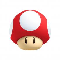 New Super Mario Bros. 2