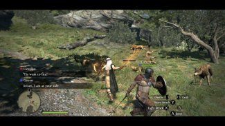 Dragon's Dogma