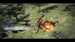 Dragon's Dogma