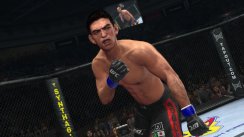 UFC 2010 Undisputed