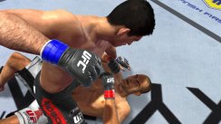 UFC 2010 Undisputed