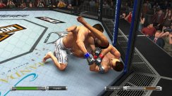 UFC 2009: Undisputed