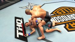 UFC 2009: Undisputed