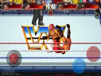 WWE Wrestlefest